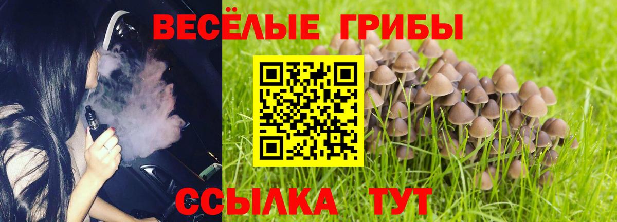 Галлюциногенные грибы Magic Shrooms Усинск